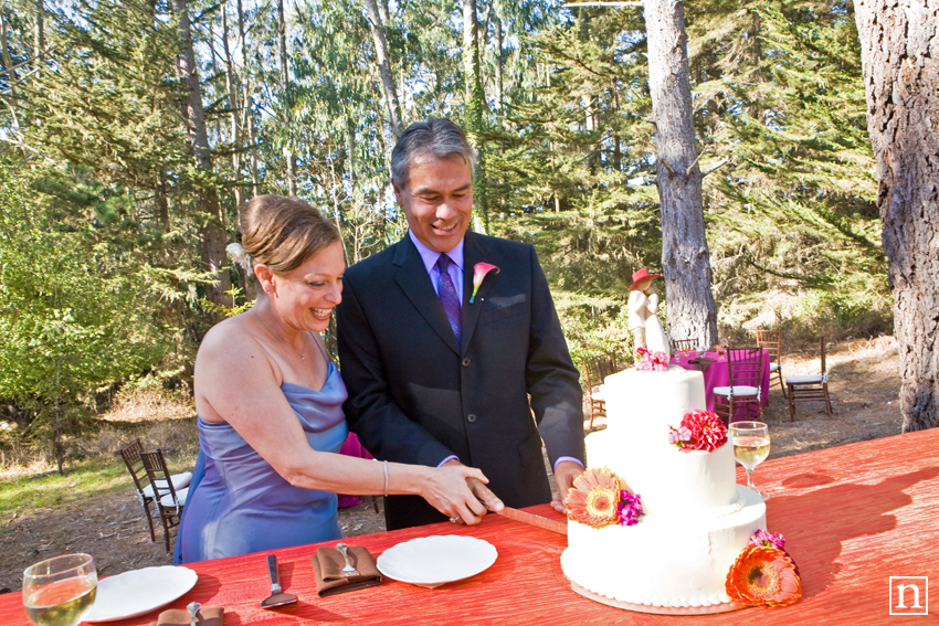 Cutting Cake | Suzanne & Fred | San Francisco Wedding Photographer