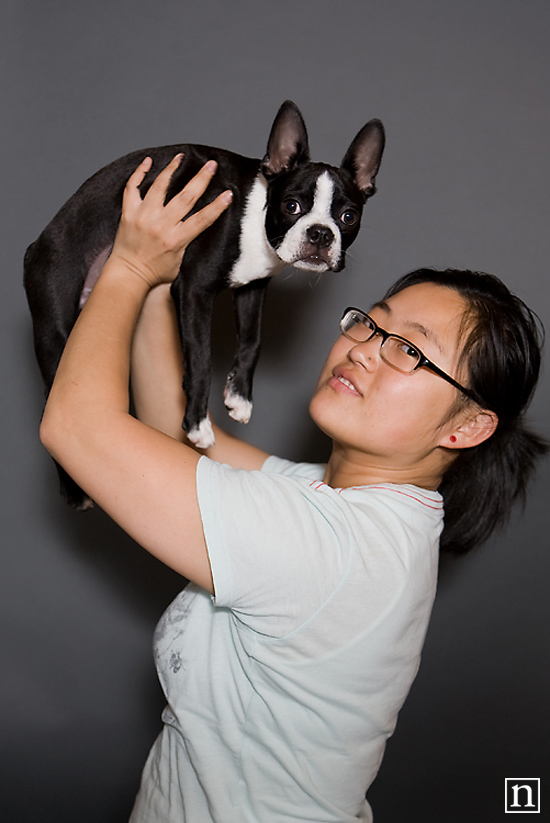 Harley the Boston Terrier | San Francisco Pet Photographer