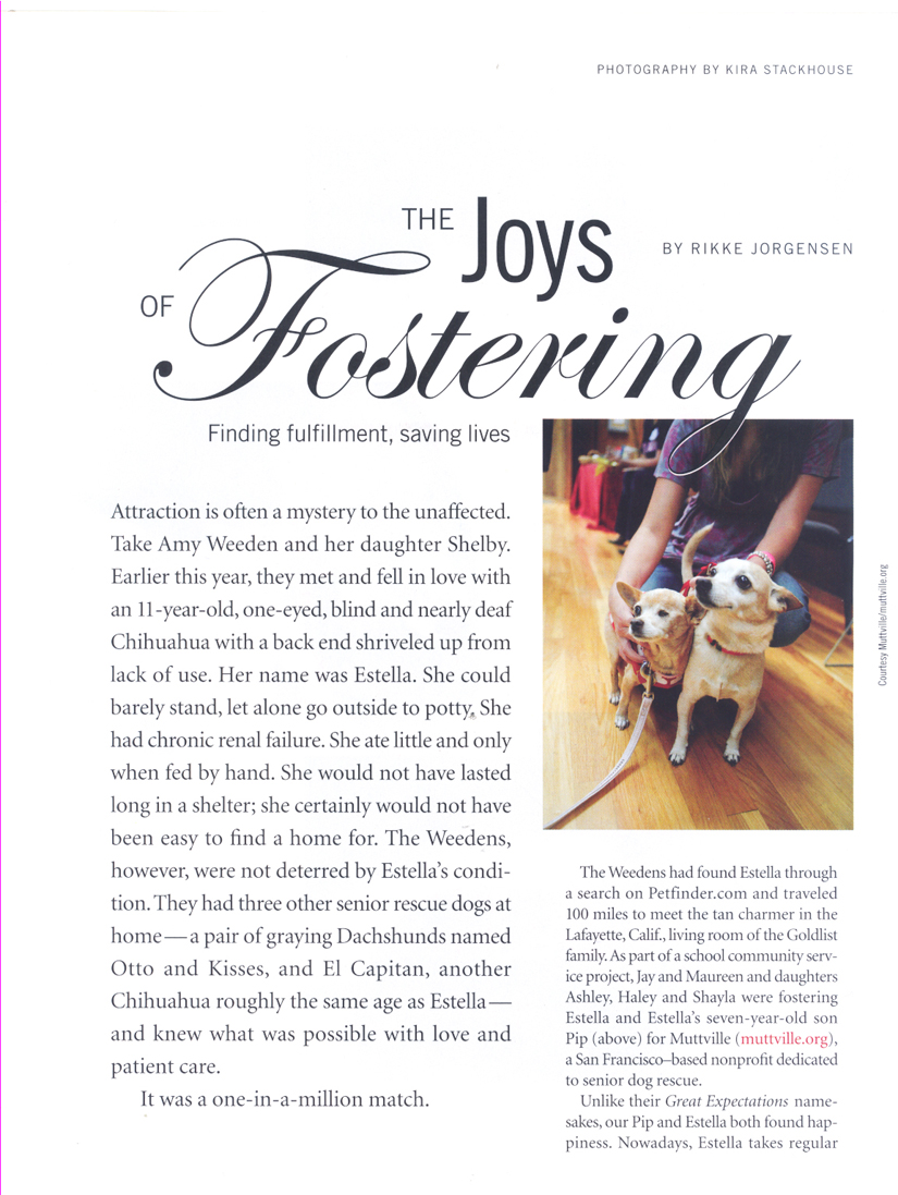Bark Magazine | San Francisco Dog Photographer Bark Magazine | San Francisco Dog Photographer