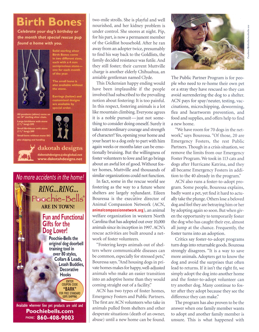 Bark Magazine | San Francisco Dog Photographer Bark Magazine | San Francisco Dog Photographer