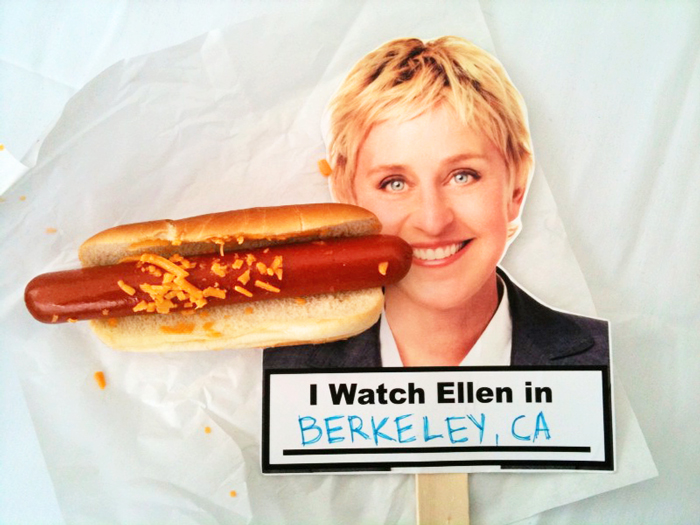 Dear Ellen - Wiener Nationals | San Francisco Pet Photographer