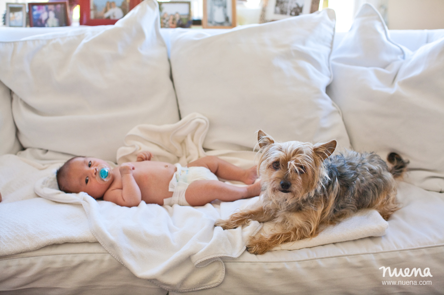 San Francisco Baby Photographer - Oliver | Nuena Photography